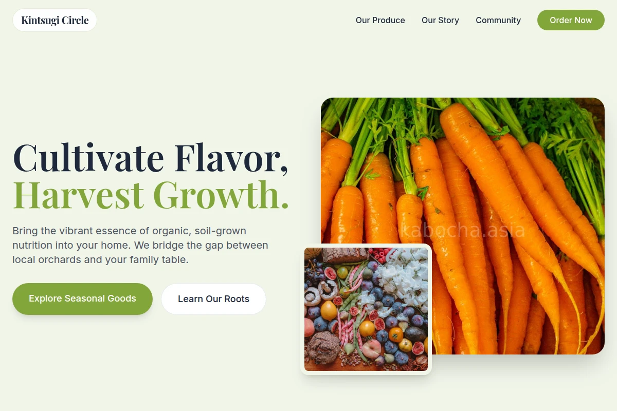 Origami Organic Food