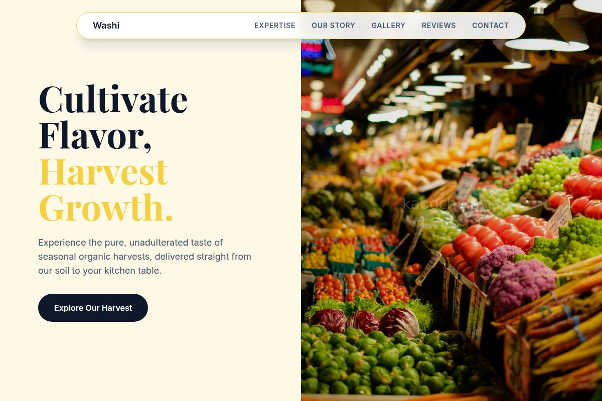 Washi Organic Food