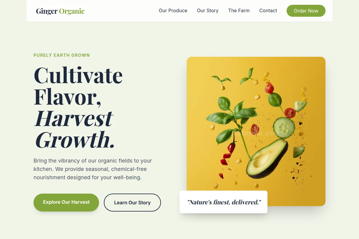 Ginger Organic Food